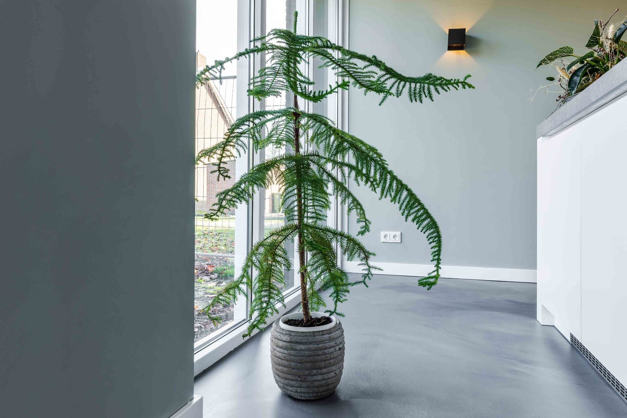 smitfloor-liquid-design-pu-gietvloer-woonkamer-plant-lichtinval-geldrop